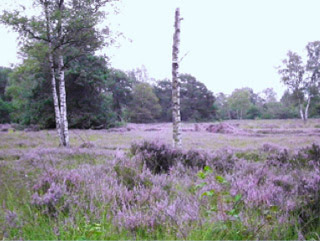 Lid worden van de NWGR