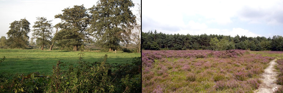 Natuurwerkgroep Rucphen 001