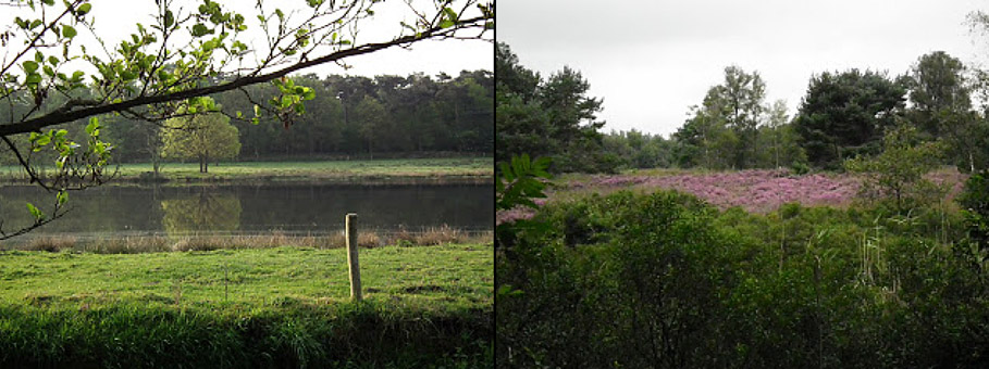 werkgroep natuur en omgeving