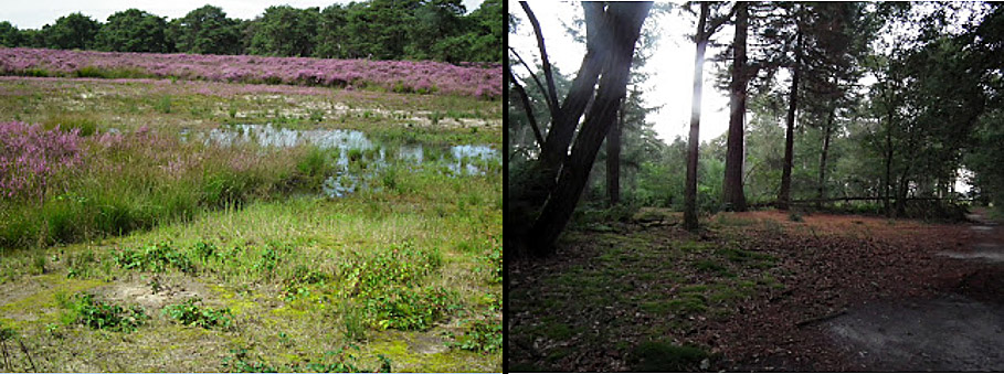 werkgroep natuur en omgeving
