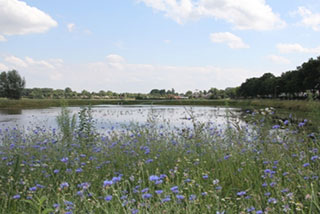 waterretenties-aan-de-Luienhoek01